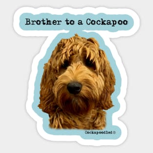 Cockapoo Dog Brother Sticker